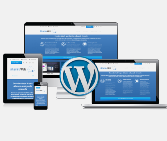 Wordpress development company in delhi