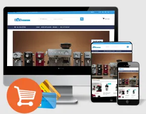 Ecommerce Website