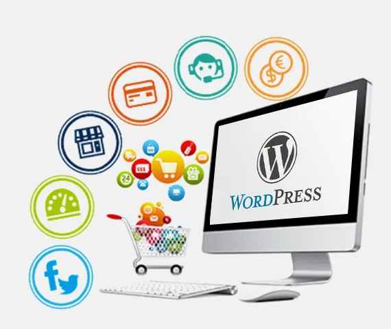 wordpress developer in delhi